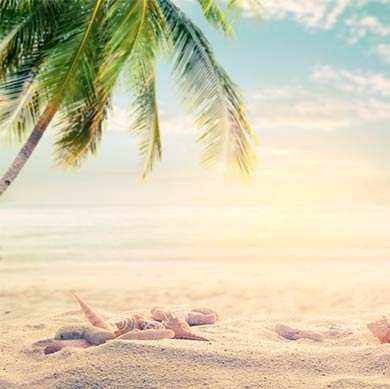 Fitness für Ladies La Primavera in Dachau